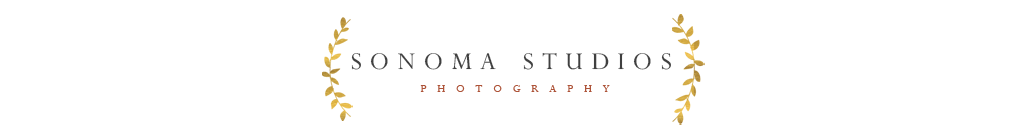 Sonoma Studios logo